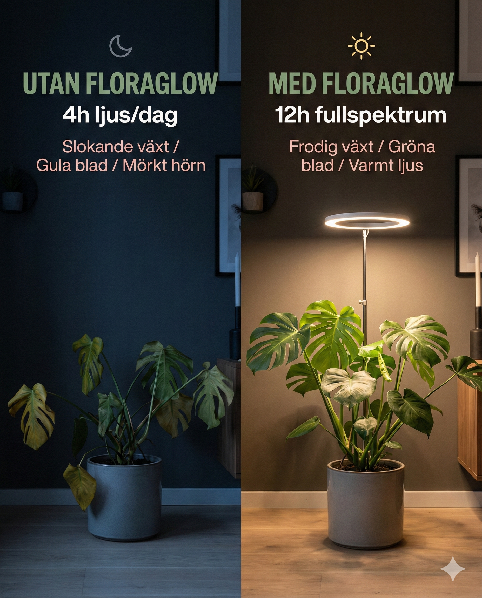 FloraGlow — Växtlampan designad för ditt hem. Byggd för dina växter.