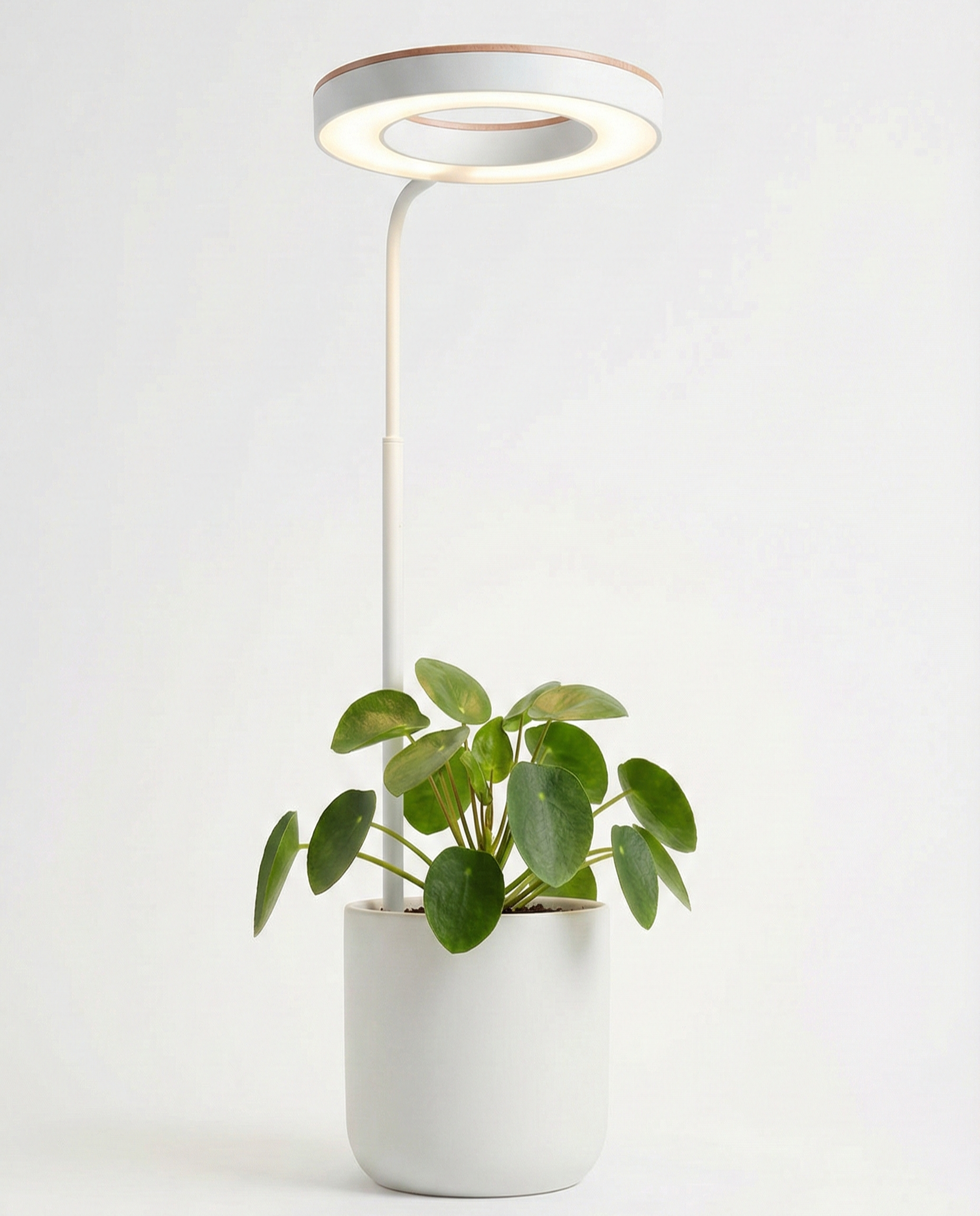 FloraGlow — Växtlampan designad för ditt hem. Byggd för dina växter.